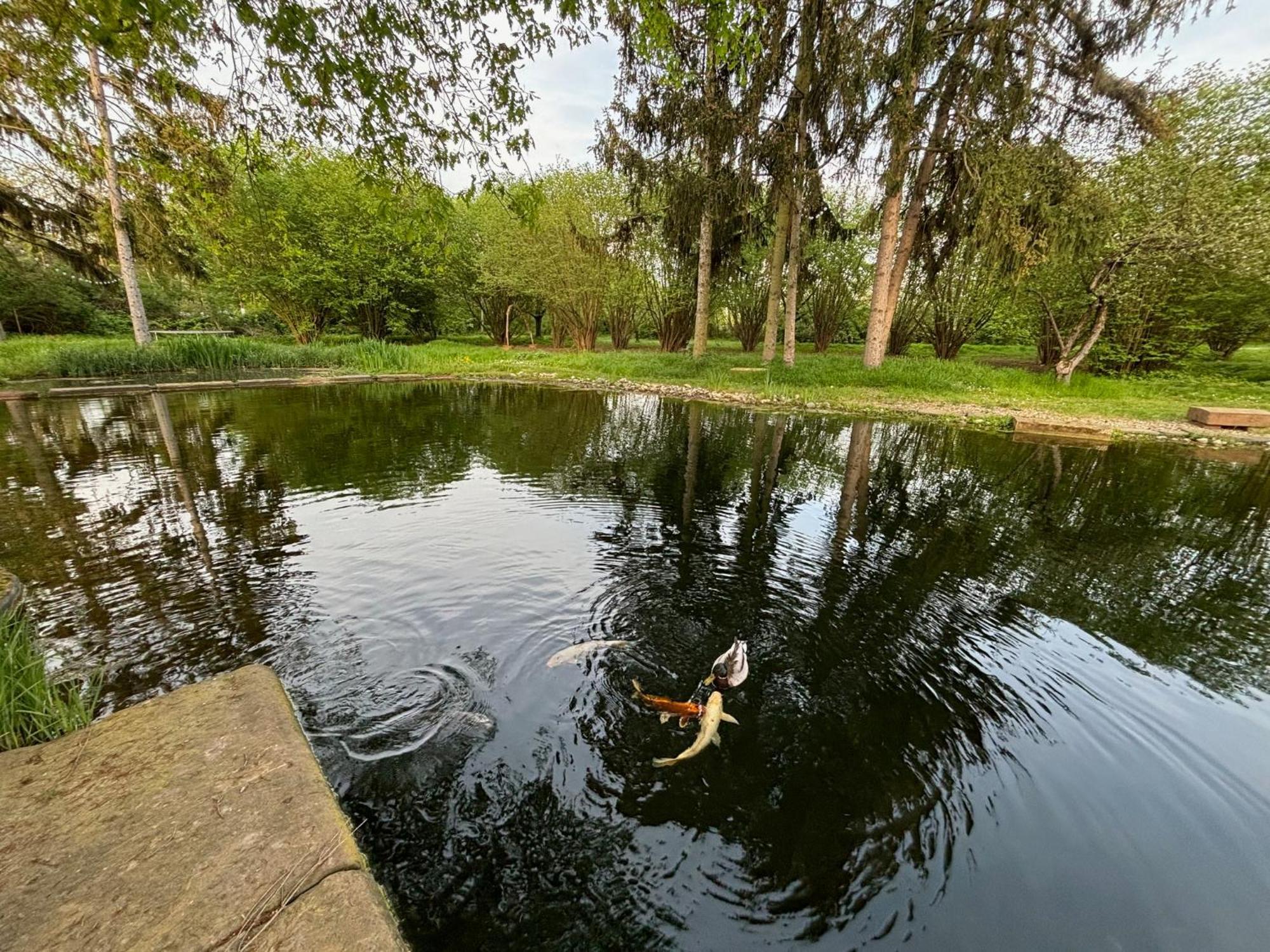 Datscha Am See Worms Buitenkant foto